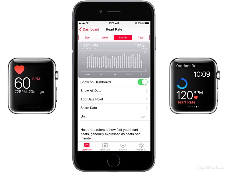 Apple объяснила, почему «глючит» пульсометр Apple Watch