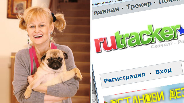 Блогер отомстил Дарье Донцовой за Rutracker, назвав всех убийц в ее книгах